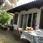 Giulia Lecce