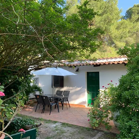 Giulia Holiday home *